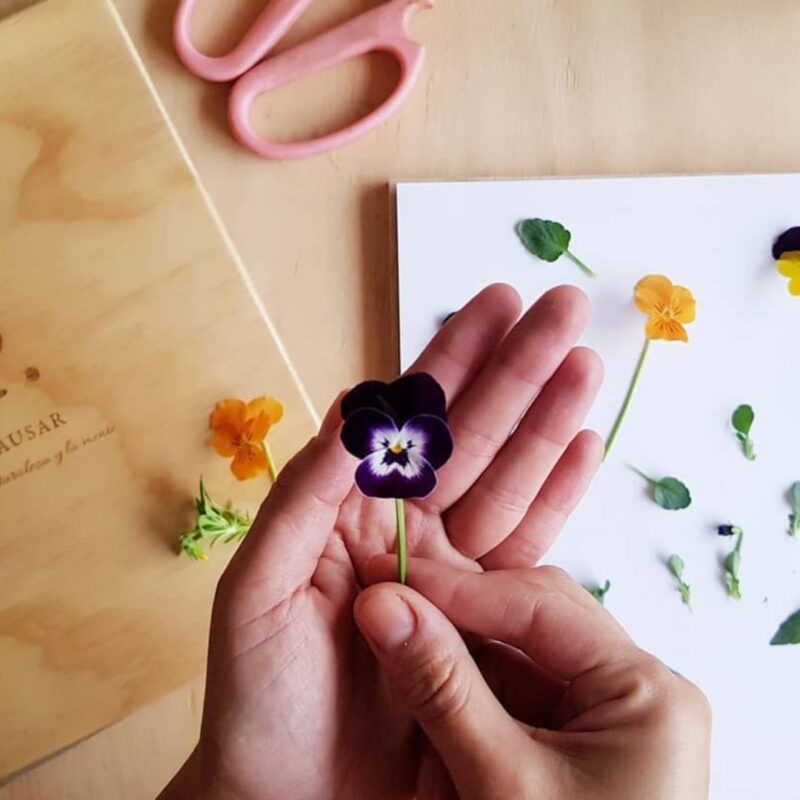 Taller Flores Prensadas • 09 Nov • ONLINE • Nivel Principiante - Imagen 3