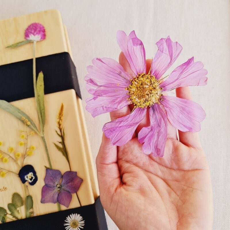 Taller Flores Prensadas • 09 Nov • ONLINE • Nivel Principiante - Imagen 5