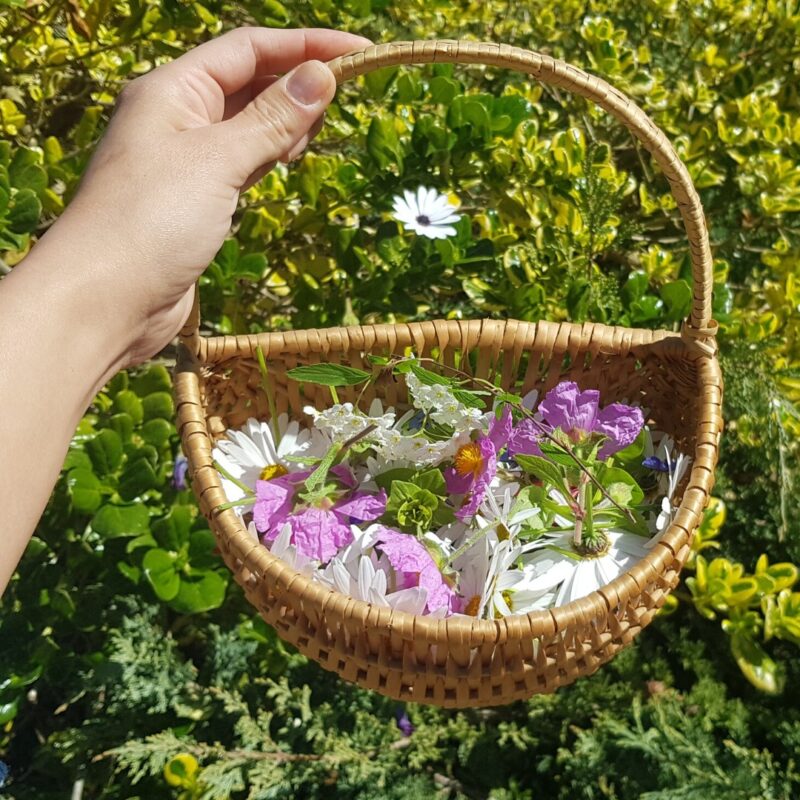 Taller Prensado de Flores • 26 Oct • Stgo • Nivel Intermedio - Imagen 2