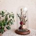 Taller • Cúpula Floral • Stgo