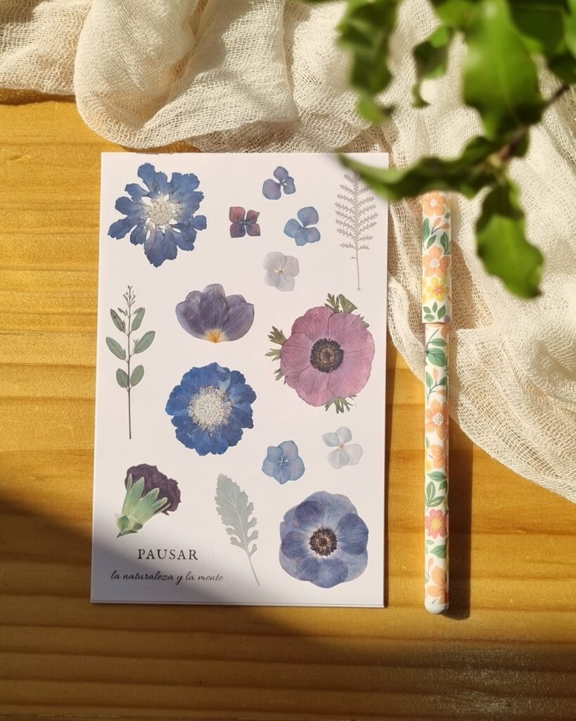 Stickers Estaciones - Imagen 5