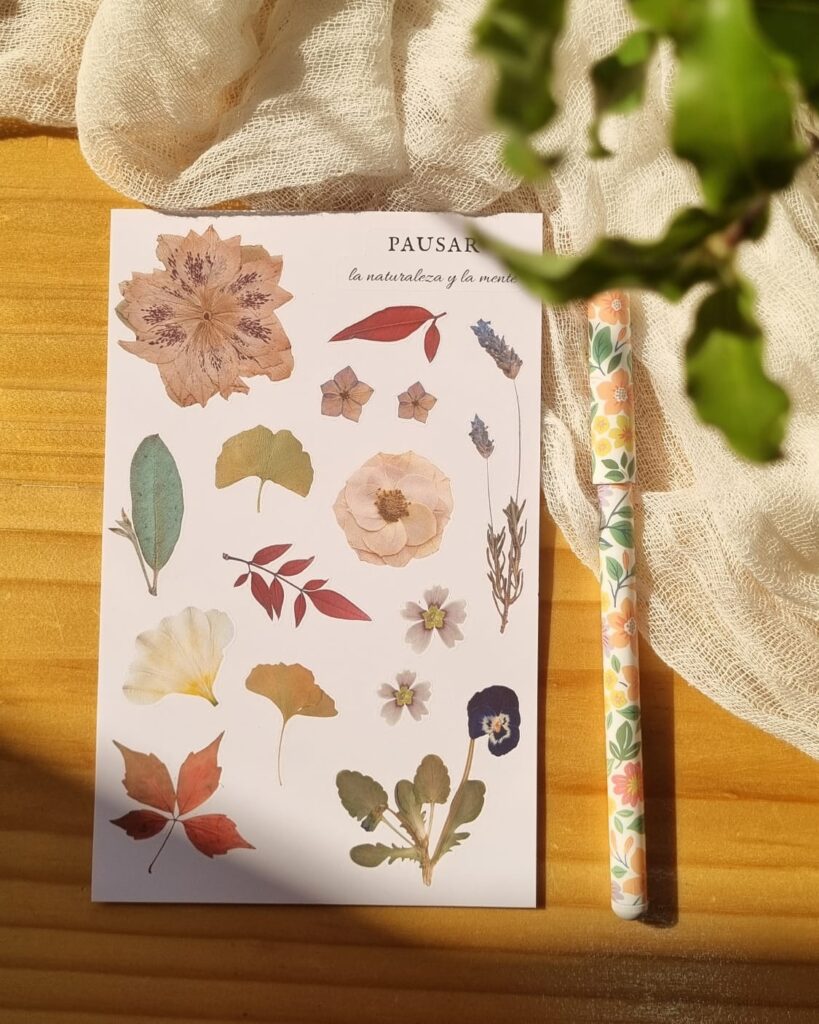 Stickers Estaciones - Imagen 4