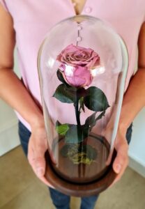 Cúpula de Rosa - Imagen 3