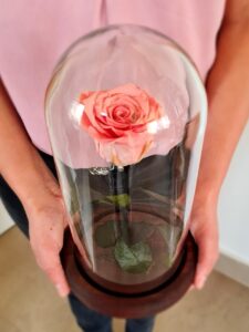 Cúpula de Rosa - Imagen 4