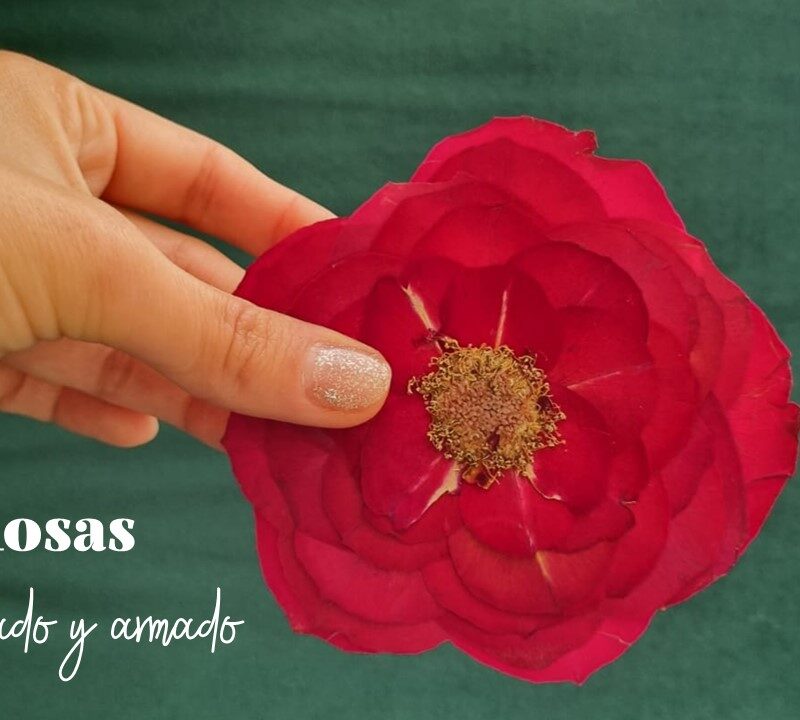 Taller Grabado "Rosas, prensado y armado"