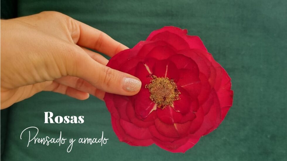 Taller Grabado "Rosas, prensado y armado"