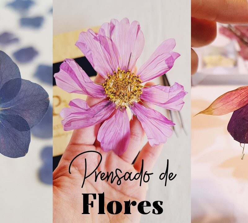 Taller Grabado "Prensado de Flores"