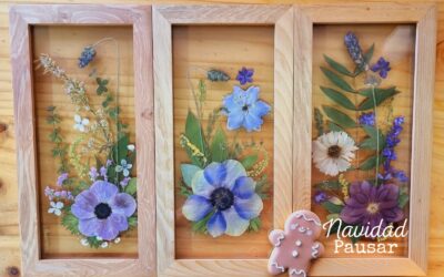 QUÉ REGALAR EN NAVIDAD