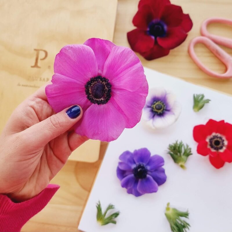 Prensa Floral Mediana