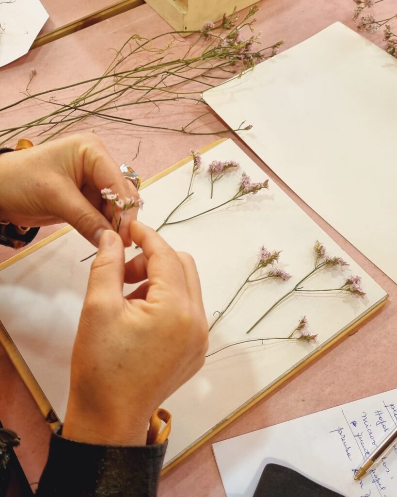 Taller Prensado de Flores • 15 Nov • ONLINE• Nivel Intermedio - Imagen 9