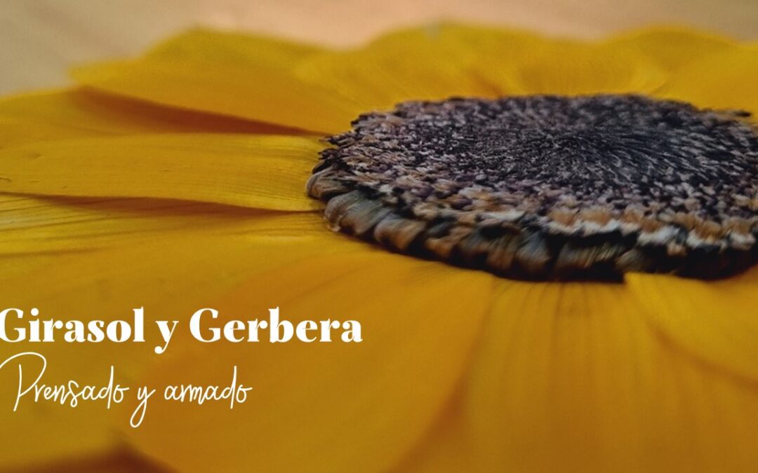 Taller Grabado «Prensado y Armado de Girasol y Gerbera»
