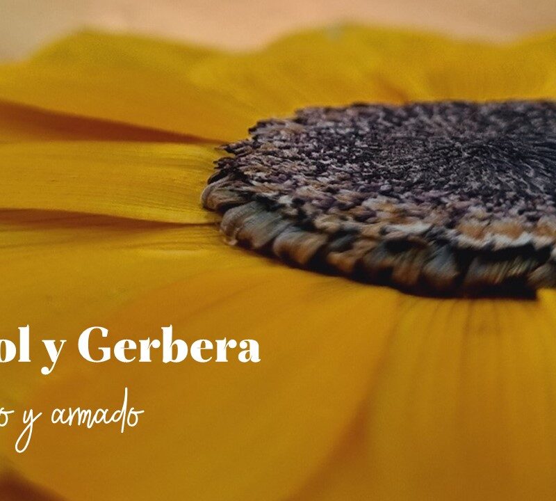 Taller Grabado "Prensado y Armado de Girasol y Gerbera"
