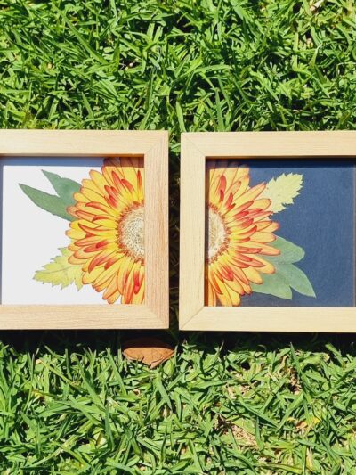Marco 15x15 Vidrio Simple y Foam