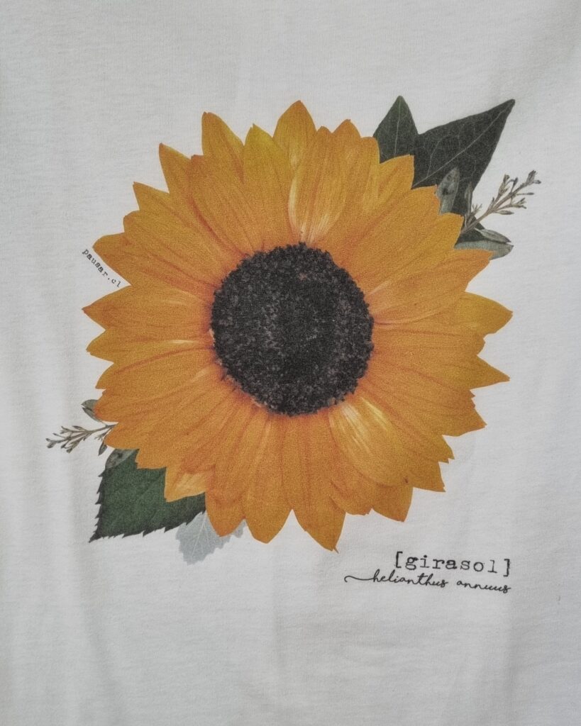 Pack 1+1 • Polera floral y Cuadro Petit Sorpresa - Imagen 13