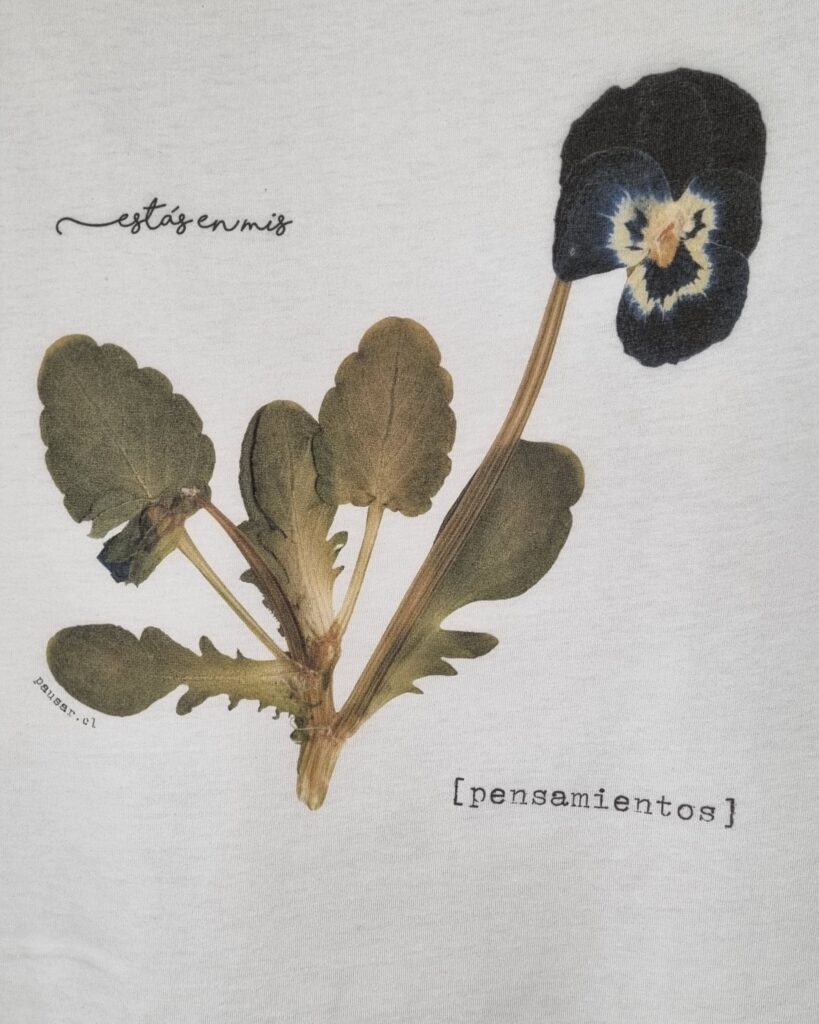 Pack 1+1 • Polera floral y Cuadro Petit Sorpresa - Imagen 17