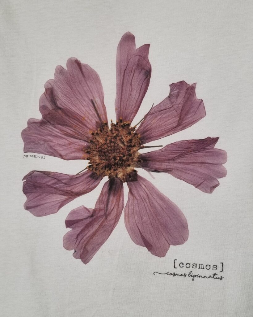 Pack 1+1 • Polera floral y Cuadro Petit Sorpresa - Imagen 15