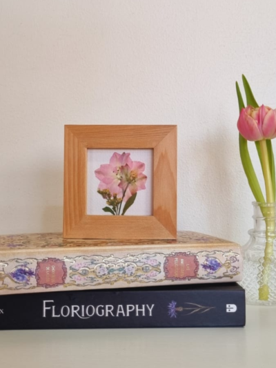 Flor 01 • Delphinium • 10x10 cm
