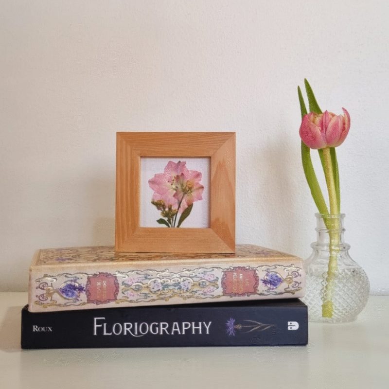 Flor 01 • Delphinium • 10x10 cm