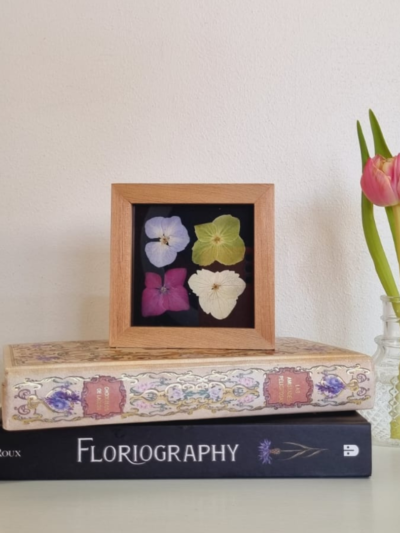 Flor 21 • Hortensia • 10x10 cm