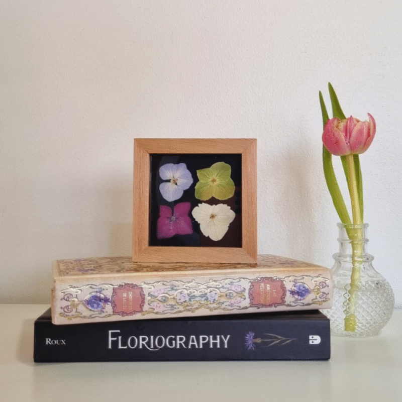 Flor 21 • Hortensia • 10x10 cm