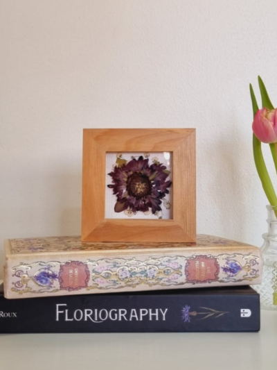 Flor 16 • Escabiosa • 10x10 cm