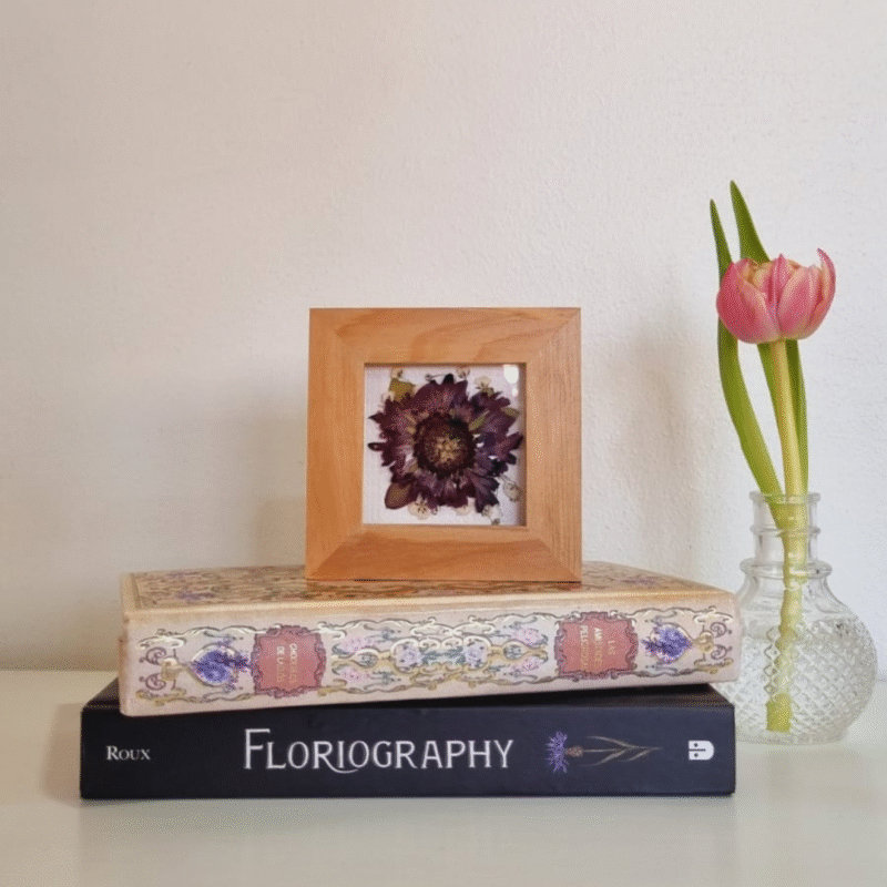Flor 16 • Escabiosa • 10x10 cm