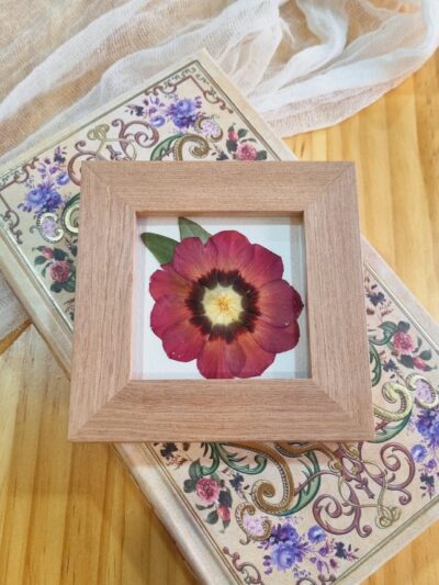 Flor 11 • Lisianthus • 10x10 cm