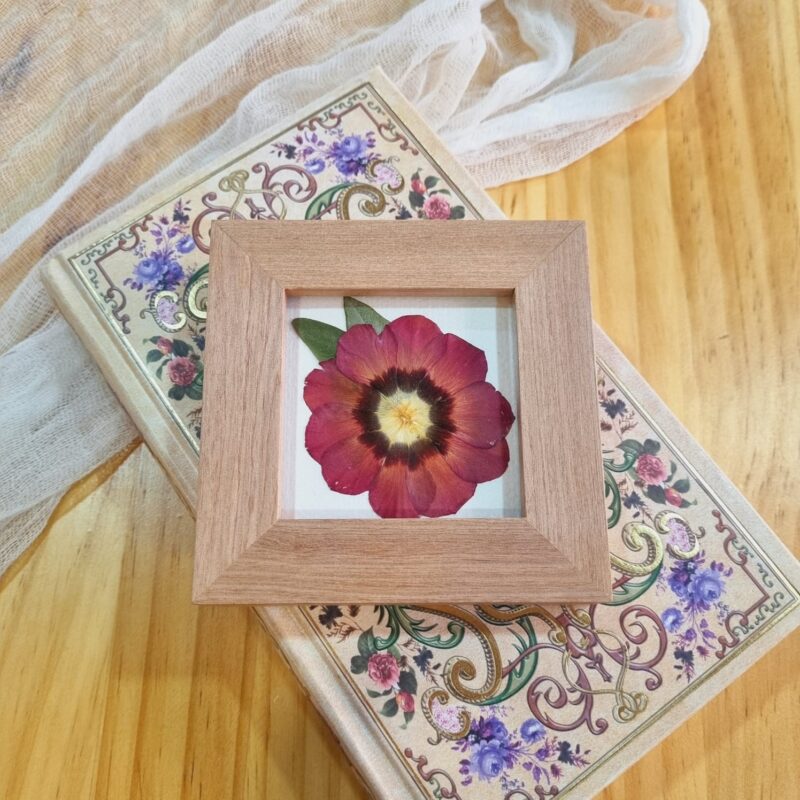 Flor 11 • Lisianthus • 10x10 cm