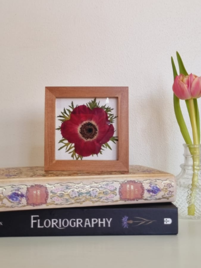 Flor 19 • Anémona • 10x10 cm