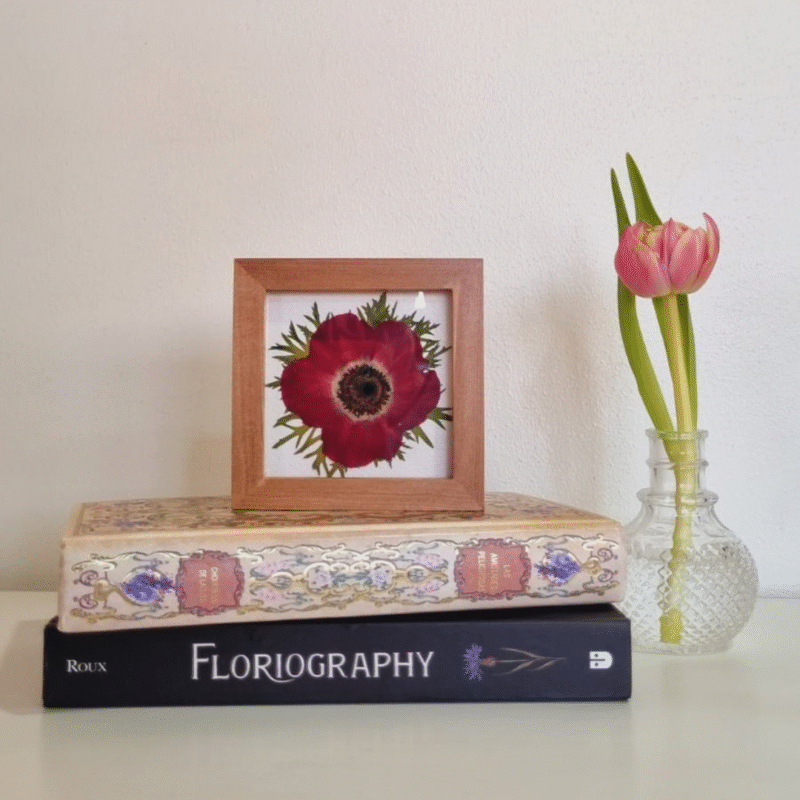 Flor 19 • Anémona • 10x10 cm