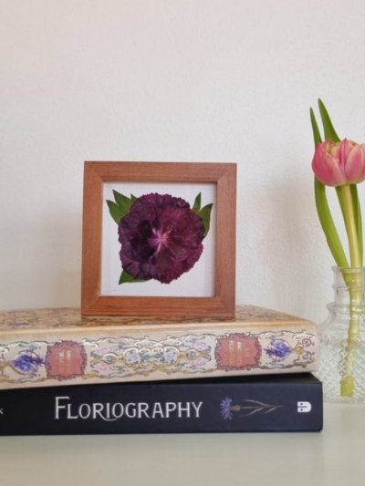 Flor 20 • Clavel • 10x10 cm