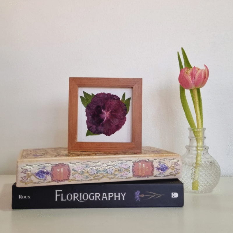 Flor 20 • Clavel • 10x10 cm