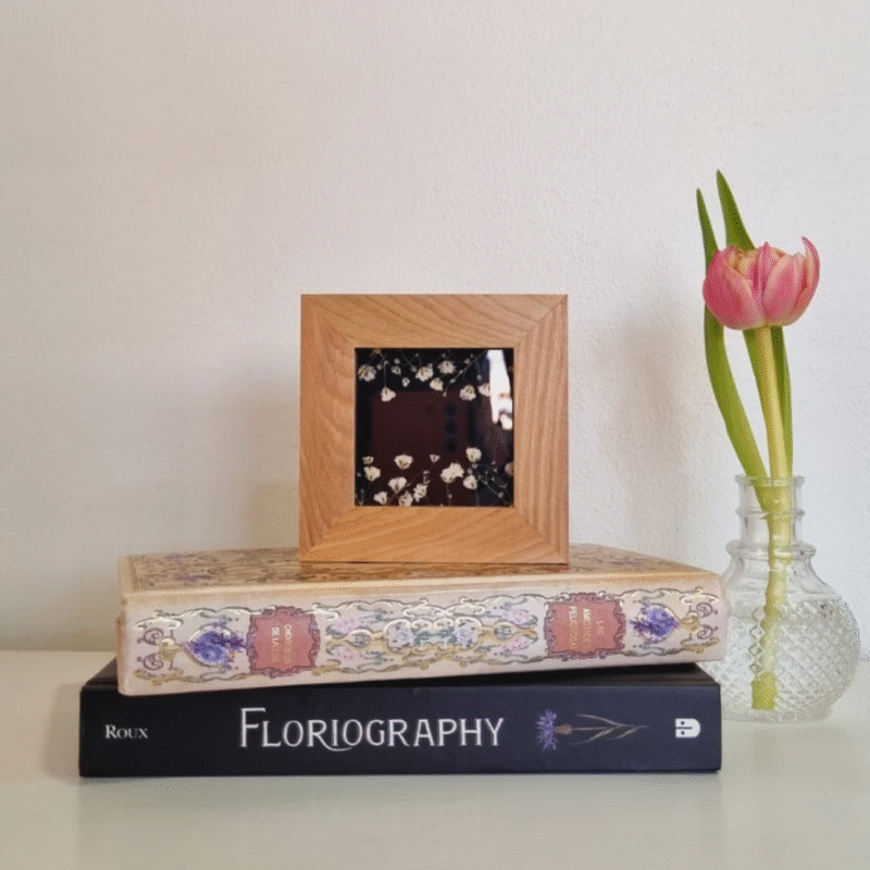 Flor 27 • Gypsophila • 10x10 cm