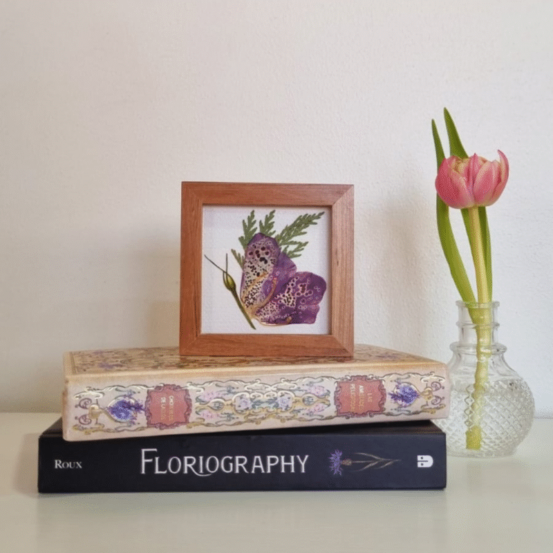 Flor 28 • Digitalis • 10x10 cm