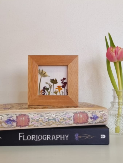 Jardín 06 • Escabiosa • 10x10 cm