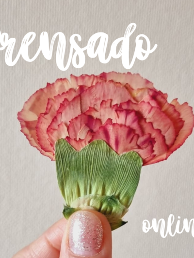Taller • Prensar Flores • Online