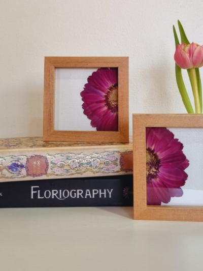 Flor 01• Gerbera Mitad• 10x10 cm