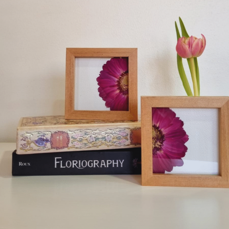 Flor 01• Gerbera Mitad• 10x10 cm