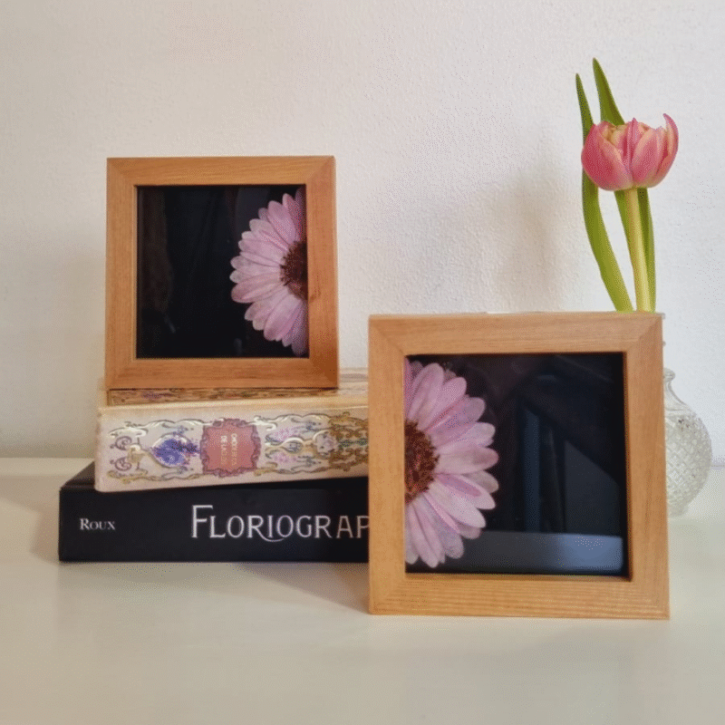 Duo 03 • Gerbera Lila • 10x10 cm