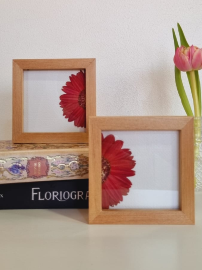 Dúo 04 • Gerbera • 10x10 cm