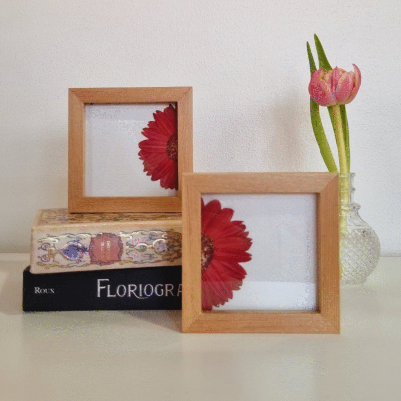Dúo 04 • Gerbera • 10x10 cm