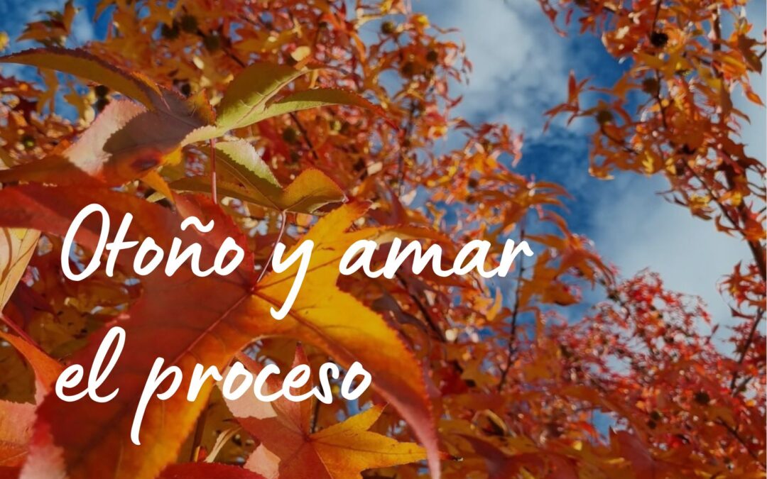 OTOÑO, AMAR EL PROCESO