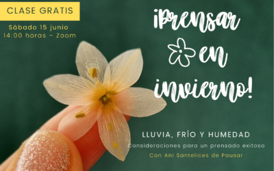 PRENSAR FLORES EN INVIERNO