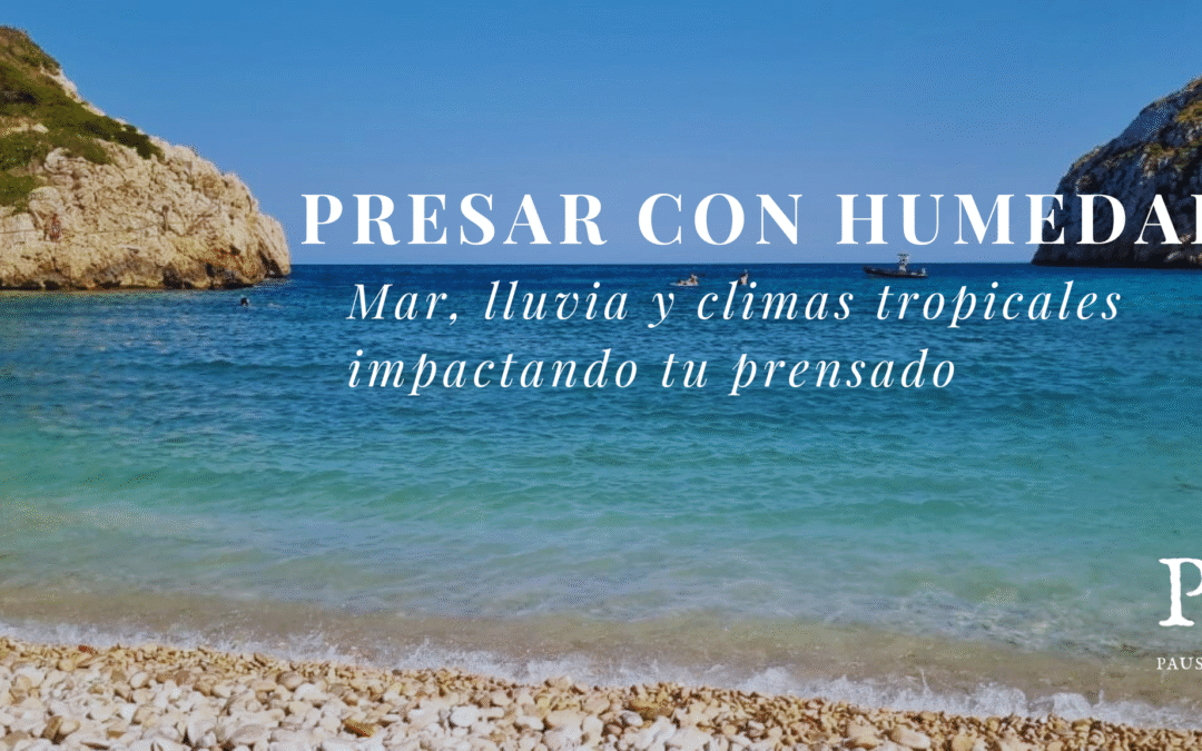 Taller Grabado «Prensar y Enmarcar a prueba de Humedad»