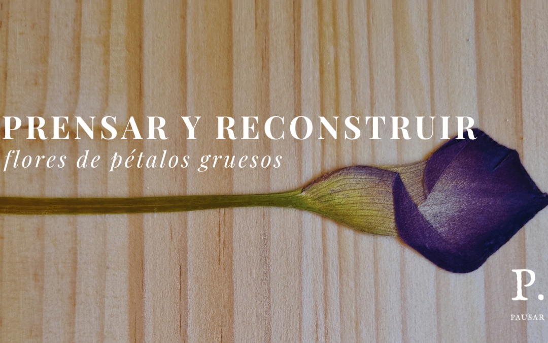 Taller Grabado «Prensado de Flores de Pétalos Gruesos»