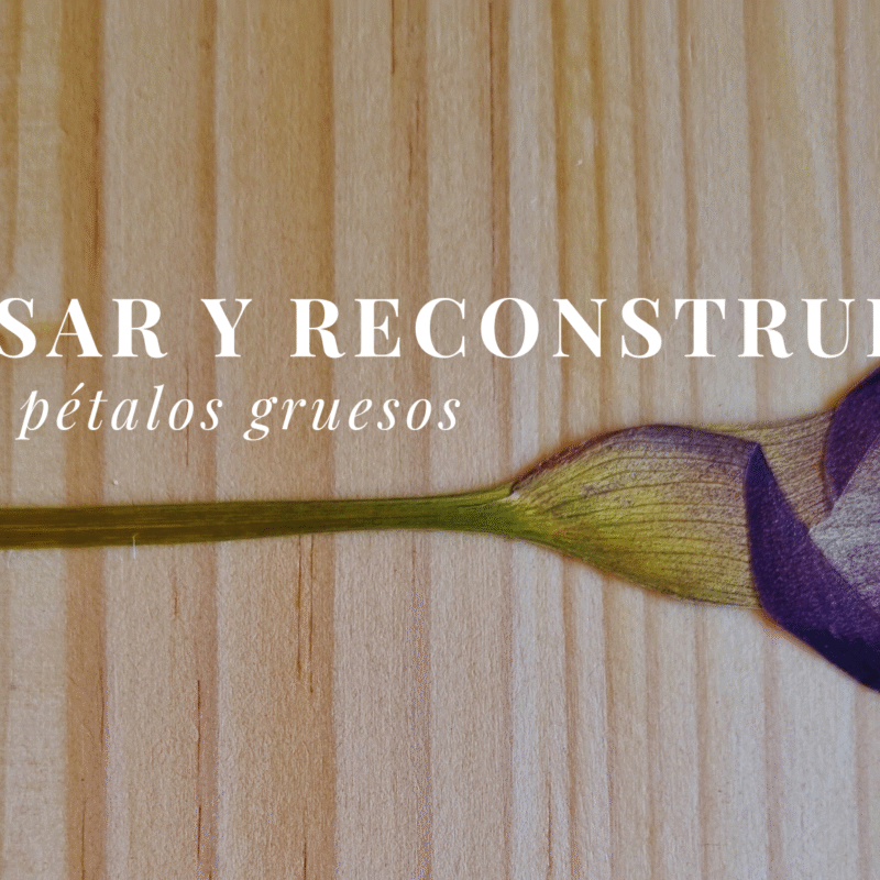 Taller Grabado "Prensado de Flores de Pétalos Gruesos"