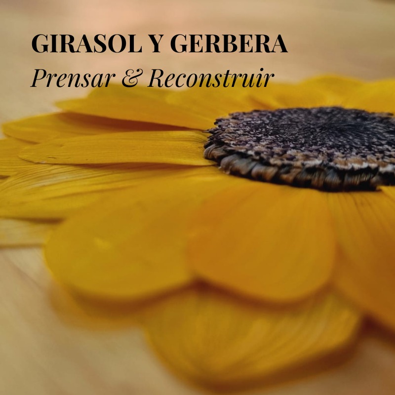 Taller Grabado "Prensado y Armado de Girasol y Gerbera"