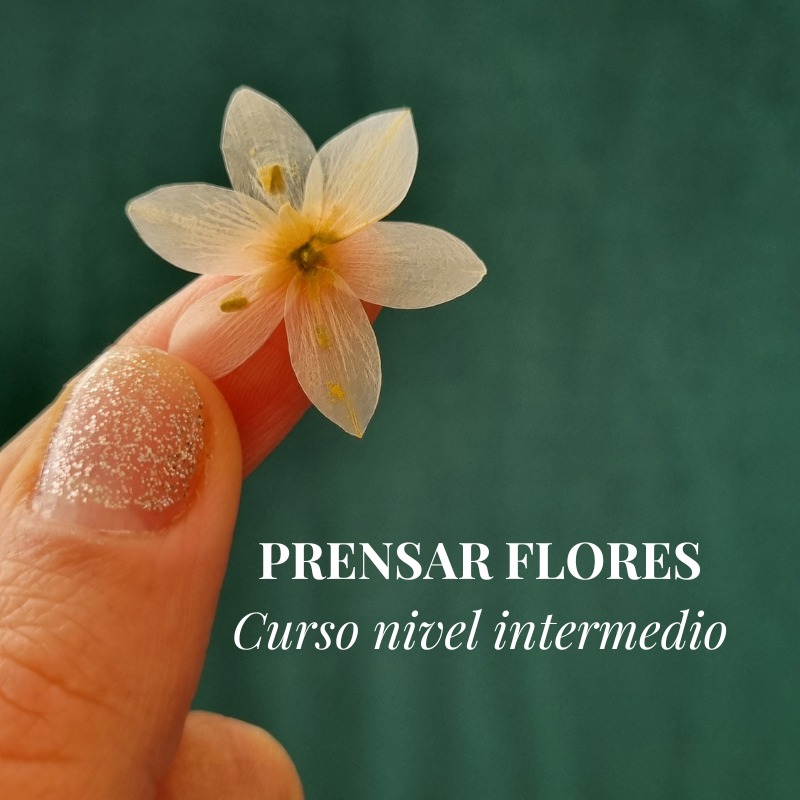 Taller Grabado "Prensado de Flores"
