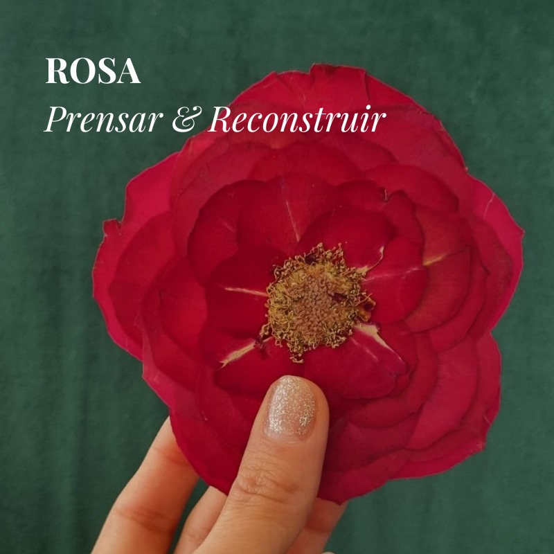 Taller Grabado "Rosas, prensado y armado"